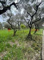 Foto Terreno agricolo in vendita a Santi Cosma E Damiano