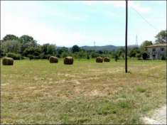 Foto Terreno agricolo in vendita a Sarzana 5000 mq  Rif: 1213399