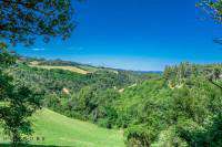 Foto Terreno agricolo in vendita a Sasso Marconi