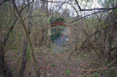 Foto Terreno agricolo in vendita a Savona