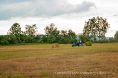 Foto Terreno agricolo in vendita a Scandiano