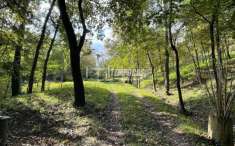 Foto Terreno agricolo in vendita a Scandiano