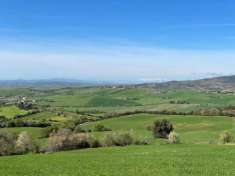 Foto Terreno agricolo in vendita a Semproniano 430000 mq  Rif: 1322780
