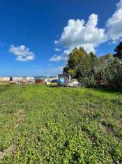 Foto Terreno agricolo in vendita a Senigallia