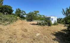 Foto Terreno agricolo in vendita a Senigallia