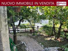 Foto Terreno agricolo in vendita a Sermoneta