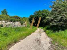 Foto Terreno agricolo in vendita a Sessa Aurunca