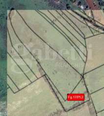 Foto Terreno agricolo in vendita a Sestu