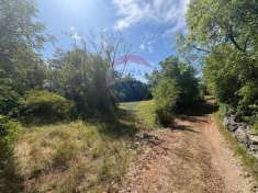 Foto Terreno agricolo in vendita a Sgonico