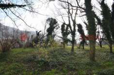 Foto Terreno agricolo in vendita a Siano