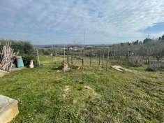 Foto Terreno agricolo in vendita a Siena
