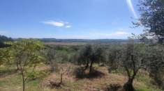 Foto Terreno agricolo in vendita a Siena