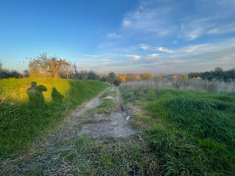 Foto Terreno agricolo in vendita a Siena