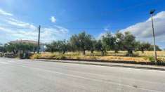 Foto Terreno agricolo in vendita a Silvi