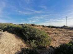 Foto Terreno agricolo in vendita a Sinnai