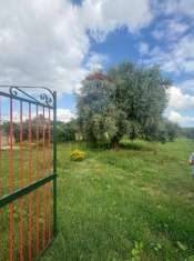 Foto Terreno agricolo in vendita a Siracusa