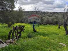 Foto Terreno agricolo in vendita a Siracusa