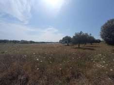 Foto Terreno agricolo in vendita a Siracusa