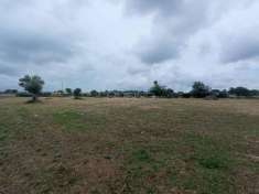 Foto Terreno agricolo in vendita a Siracusa