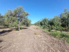 Foto Terreno agricolo in vendita a Siracusa