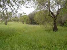 Foto Terreno agricolo in vendita a Siracusa