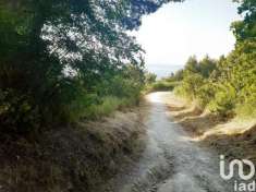 Foto Terreno agricolo in vendita a Sirolo