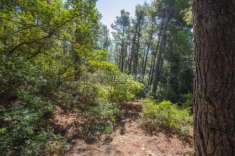 Foto Terreno agricolo in vendita a Sirolo