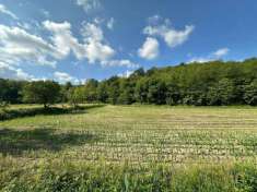 Foto Terreno agricolo in vendita a Sirone