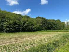 Foto Terreno agricolo in vendita a Sirone