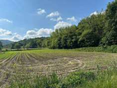 Foto Terreno agricolo in vendita a Sirone