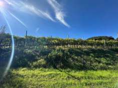 Foto Terreno agricolo in vendita a Soave