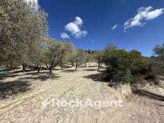 Foto Terreno agricolo in vendita a Sorso
