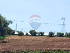Foto Terreno agricolo in vendita a Sparanise