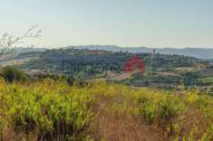 Foto Terreno agricolo in vendita a Tarquinia