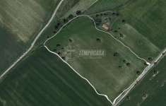 Foto Terreno agricolo in vendita a Tarquinia