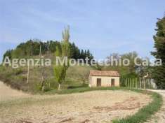 Foto Terreno agricolo in vendita a Tavullia