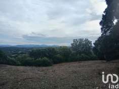 Foto Terreno agricolo in vendita a Telti