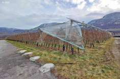 Foto Terreno agricolo in vendita a Termeno Sulla Strada Del Vino