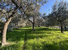Foto Terreno agricolo in vendita a Terni