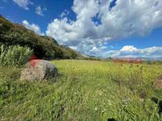 Foto Terreno agricolo in vendita a Terracina