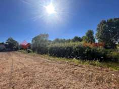 Foto Terreno agricolo in vendita a Terracina