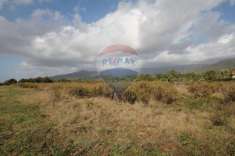 Foto Terreno agricolo in vendita a Terranuova Bracciolini