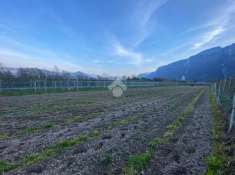 Foto Terreno agricolo in vendita a Terre d'Adige