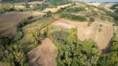 Foto Terreno agricolo in vendita a Terre Roveresche
