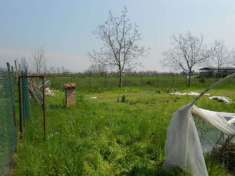 Foto Terreno agricolo in Vendita a Thiene