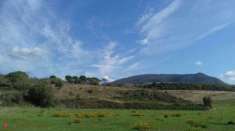 Foto Terreno agricolo in vendita a Tivoli