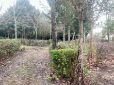 Foto Terreno agricolo in vendita a Toiano - Siena 2710 mq  Rif: 1302682
