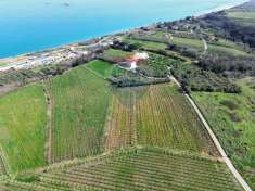 Foto Terreno agricolo in vendita a Torino Di Sangro