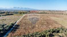 Foto Terreno agricolo in vendita a Torino Di Sangro