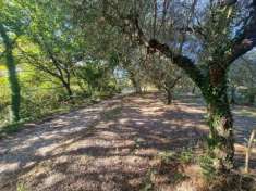 Foto Terreno agricolo in vendita a Torre Le Nocelle